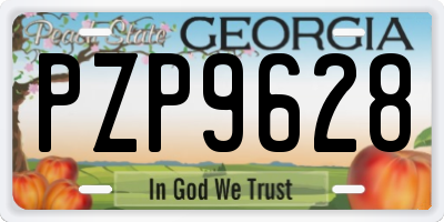 GA license plate PZP9628
