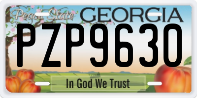 GA license plate PZP9630