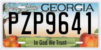 GA license plate PZP9641