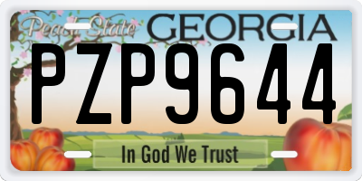 GA license plate PZP9644