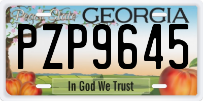 GA license plate PZP9645