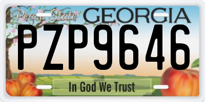 GA license plate PZP9646