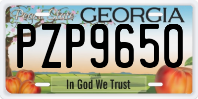 GA license plate PZP9650