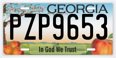 GA license plate PZP9653
