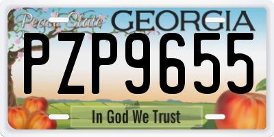 GA license plate PZP9655