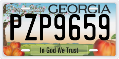 GA license plate PZP9659