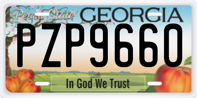 GA license plate PZP9660