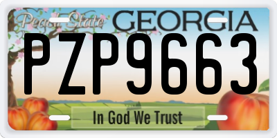 GA license plate PZP9663