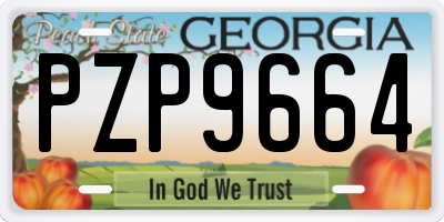 GA license plate PZP9664