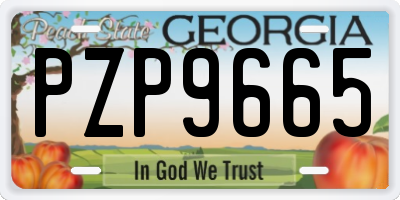 GA license plate PZP9665