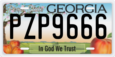 GA license plate PZP9666