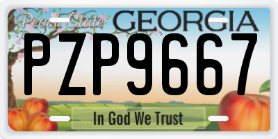 GA license plate PZP9667