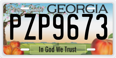 GA license plate PZP9673
