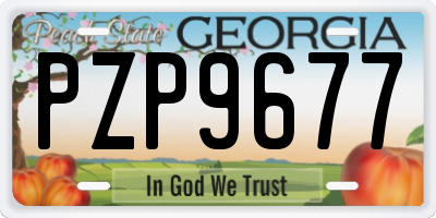 GA license plate PZP9677