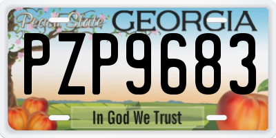 GA license plate PZP9683