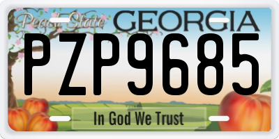 GA license plate PZP9685