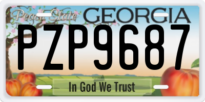 GA license plate PZP9687