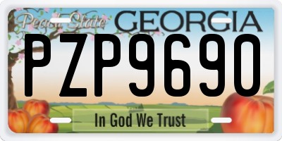 GA license plate PZP9690