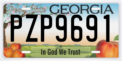 GA license plate PZP9691