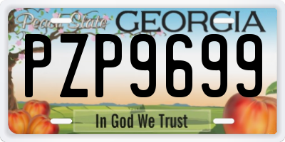 GA license plate PZP9699