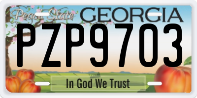 GA license plate PZP9703
