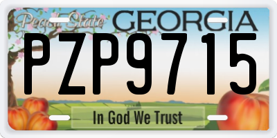 GA license plate PZP9715