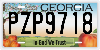GA license plate PZP9718