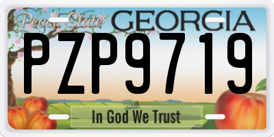 GA license plate PZP9719