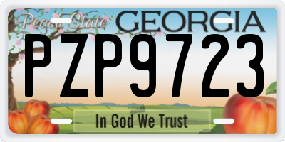 GA license plate PZP9723