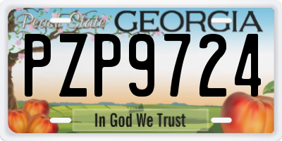 GA license plate PZP9724
