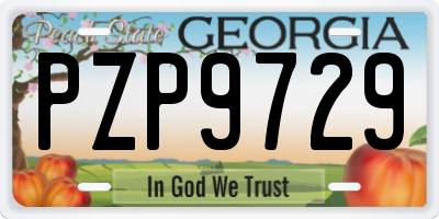 GA license plate PZP9729