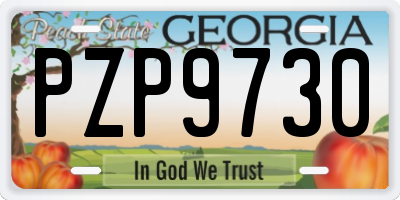 GA license plate PZP9730