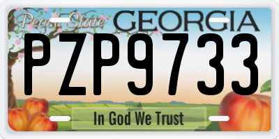 GA license plate PZP9733