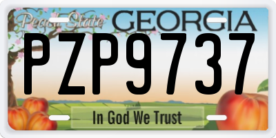 GA license plate PZP9737