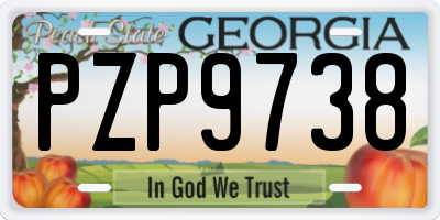 GA license plate PZP9738
