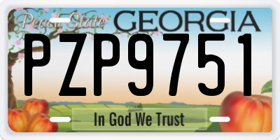 GA license plate PZP9751