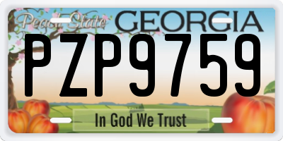 GA license plate PZP9759