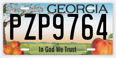 GA license plate PZP9764
