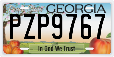 GA license plate PZP9767