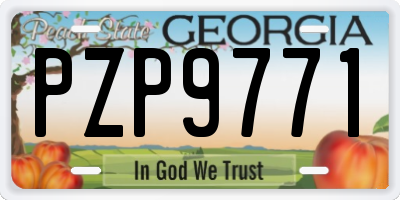 GA license plate PZP9771