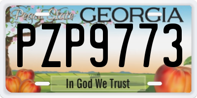 GA license plate PZP9773