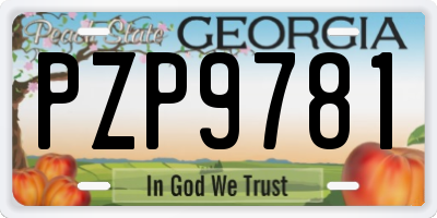 GA license plate PZP9781
