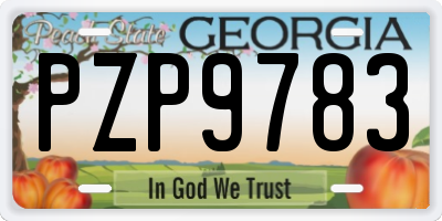 GA license plate PZP9783
