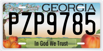 GA license plate PZP9785