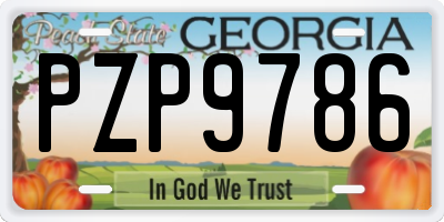 GA license plate PZP9786