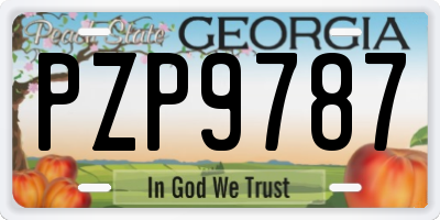 GA license plate PZP9787