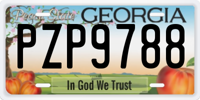 GA license plate PZP9788