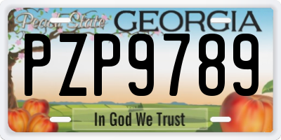 GA license plate PZP9789