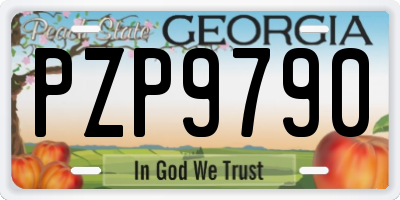 GA license plate PZP9790