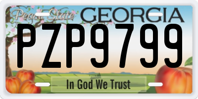 GA license plate PZP9799